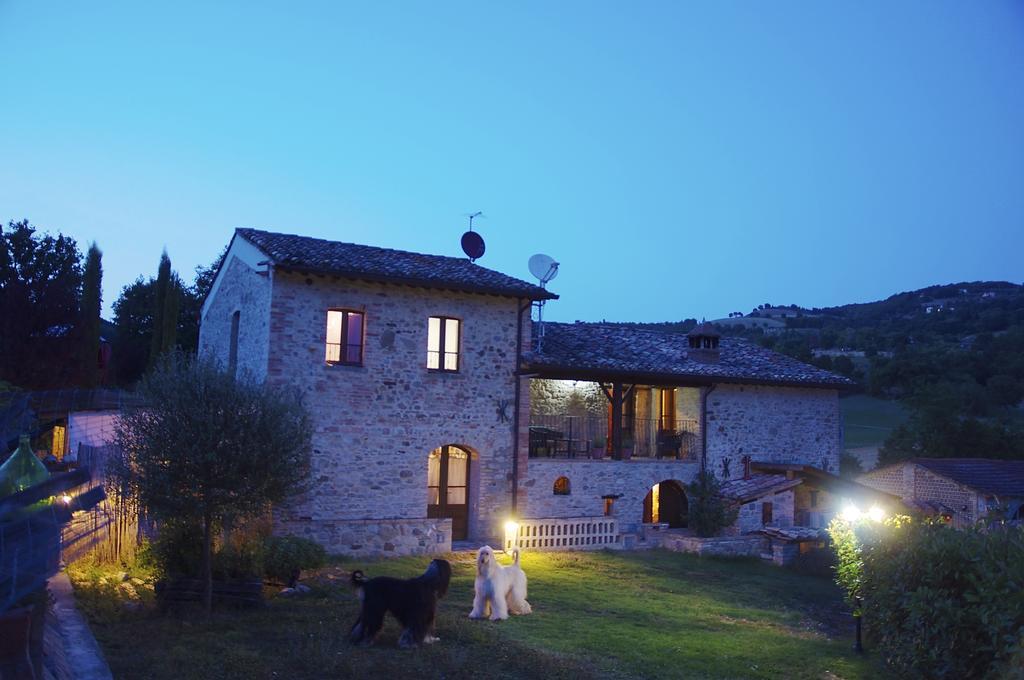 La Pietra Rara B&B Montone  Exterior foto