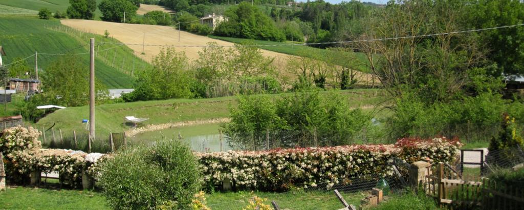 La Pietra Rara B&B Montone  Exterior foto